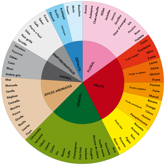 The wheel of aromas seen by Richard Pfister.